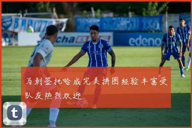马刺签托哈成完美拼图经验丰富受队友热烈欢迎