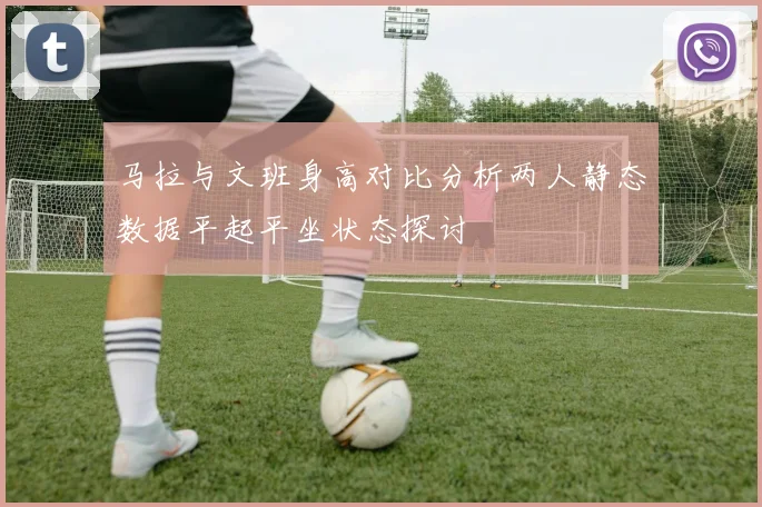 马拉与文班身高对比分析两人静态数据平起平坐状态探讨