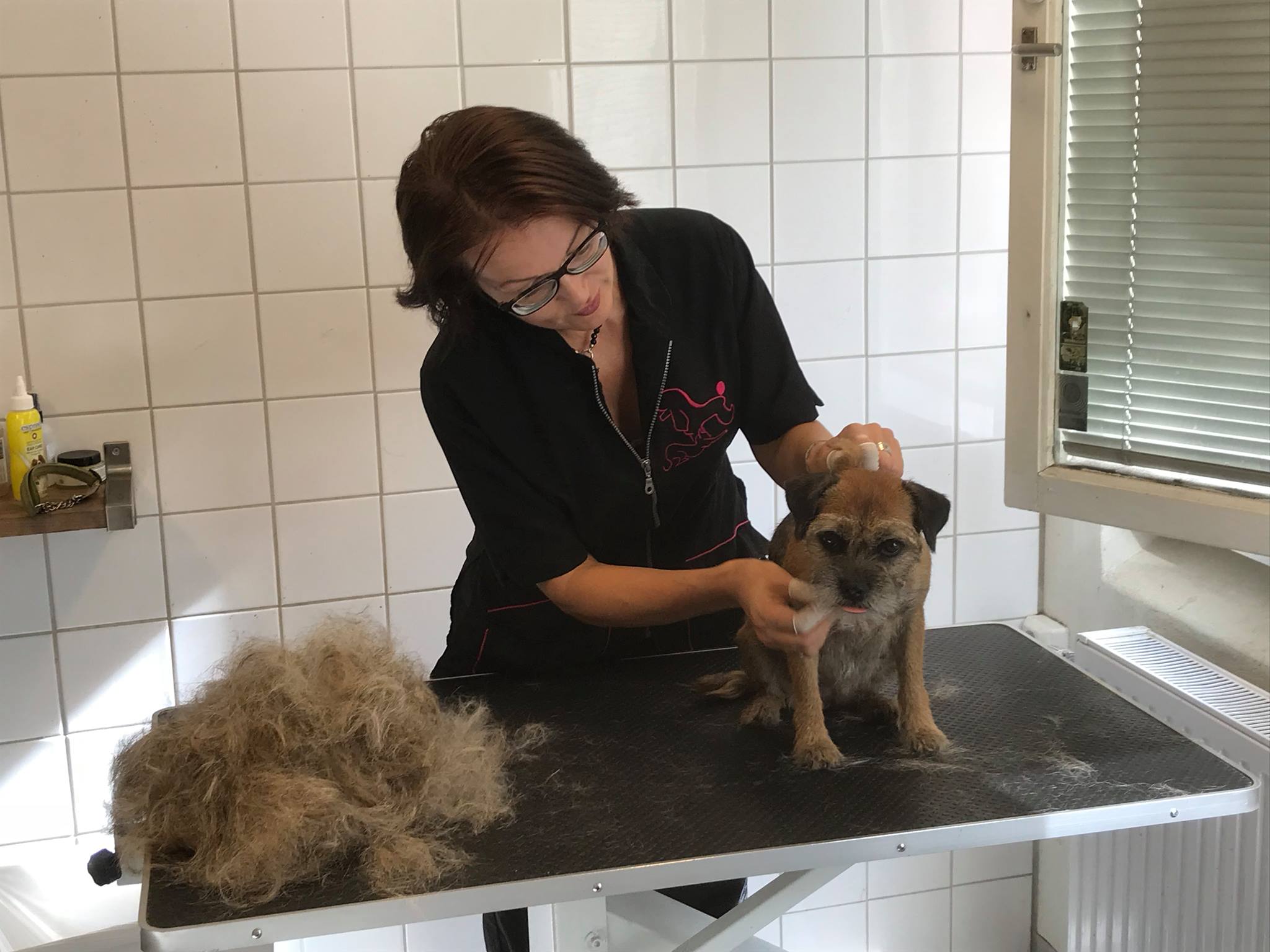 40046260_414056402453054_1472888442080722944_o